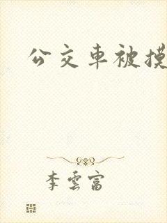 公交车被摸胸