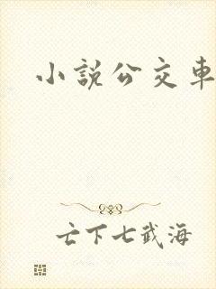 小说公交车苏晴