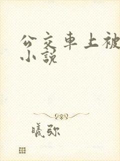 公交车上被强入小说
