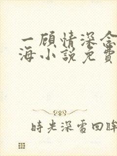 一顾情深念念似海小说免费阅读