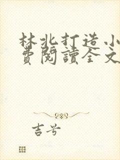 林北打造小说免费阅读全文