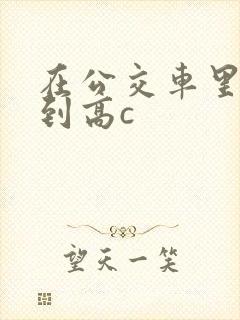 在公交车里c弄到高c