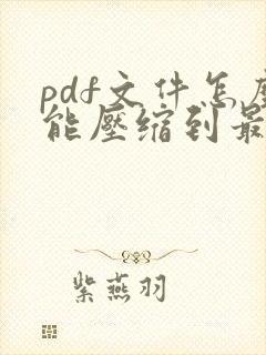 pdf文件怎么能压缩到最小