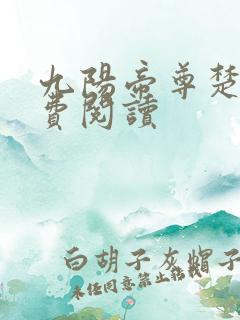 九阳帝尊楚尘免费阅读