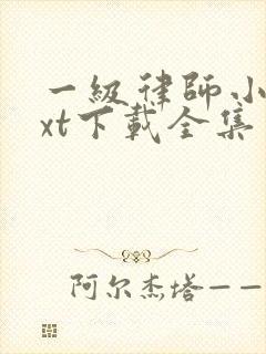 一级律师小说txt下载全集