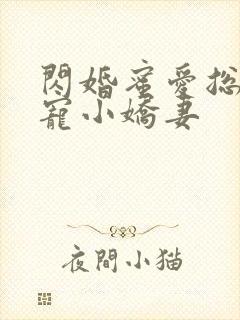 闪婚蜜爱总裁独宠小娇妻