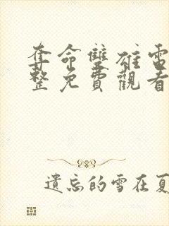 夺命双雄电影完整免费观看高清