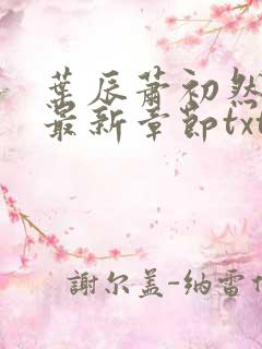 叶辰萧初然免费最新章节txt