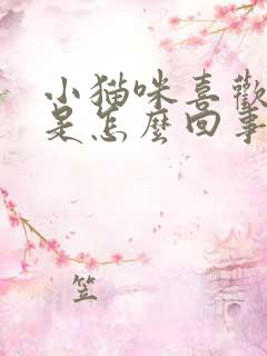 小猫咪喜欢舔人是怎么回事