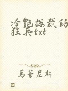 冷艳总裁的贴身狂兵txt