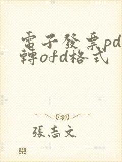 电子发票pdf转ofd格式