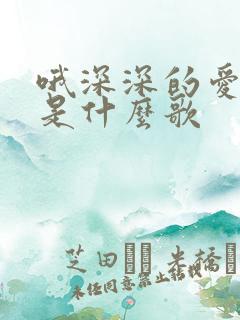 哦深深的爱上你是什么歌