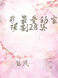 我最爱的家人电视剧28集