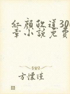 红颜政道300章小说免费阅读