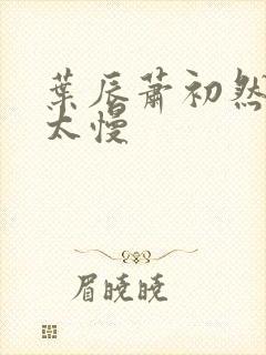 叶辰萧初然更新太慢
