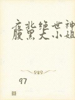 夜北绝世神医:腹黑大小姐