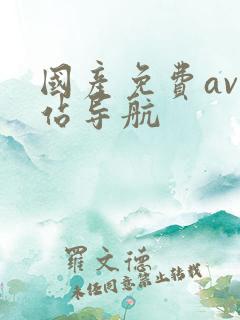 国产免费av网站导航