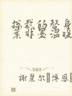总裁的替身前妻叶非墨温暖全文免费阅读
