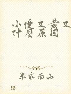 小便又黄又稠是什么原因