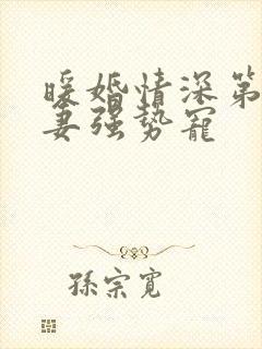 暖婚情深第一娇妻强势宠