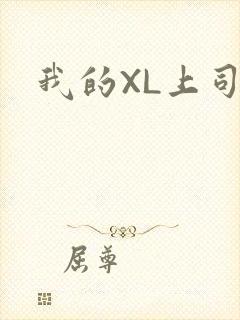 我的XL上司