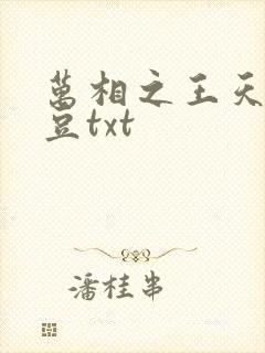 万相之王天蚕土豆txt
