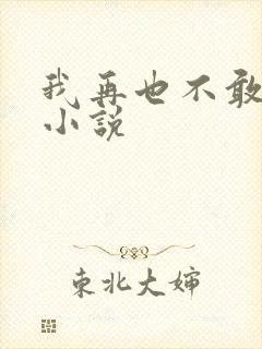 我再也不敢了 小说