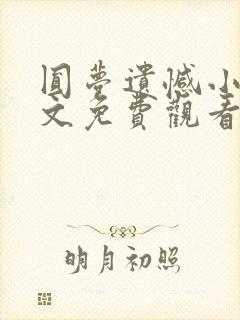 圆梦遗憾小说全文免费观看