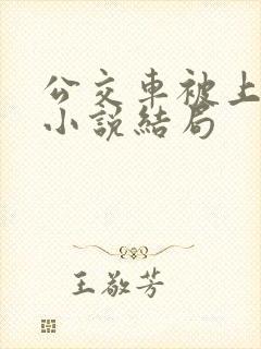 公交车被上高潮小说结局