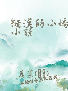 糙汉的小娇娘 小说