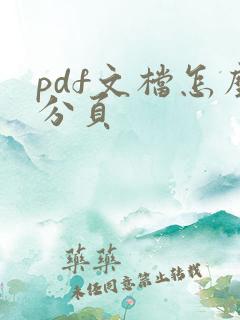 pdf文档怎么分页