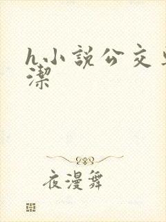 h小说公交车白洁