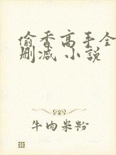 偷香高手全文无删减 小说