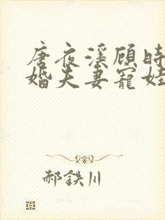 唐夜溪顾时暮闪婚夫妻宠娃日常