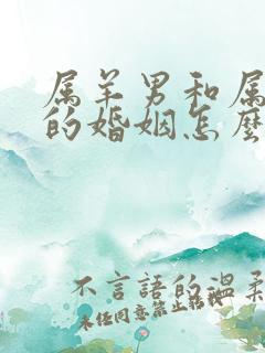 属羊男和属兔女的婚姻怎么样