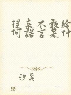 从来不敢给你任何诺言是什么歌