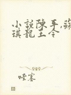 小说陈平,苏雨琪龙王令
