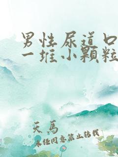 男性尿道口起了一堆小颗粒