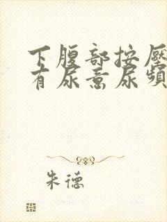 下腹部按压疼痛有尿意尿频