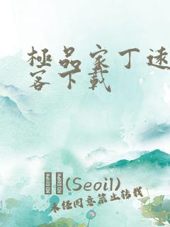 极品家丁远方来客下载