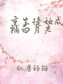 重生后她成了首辅白月光