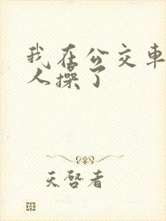 我在公交车上被人操了