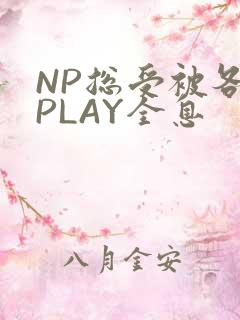 NP总受被各种PLAY全息