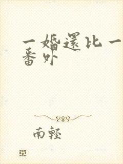 一婚还比一婚高番外