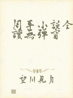 周平小说全文阅读无弹窗