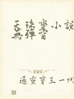 天珠变小说免费无弹窗