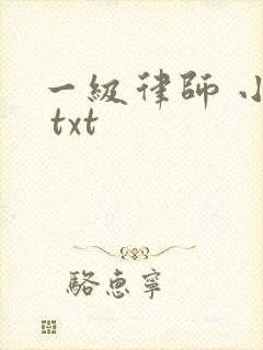 一级律师 小说 txt