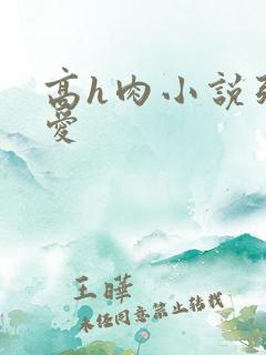 高h肉小说强制爱