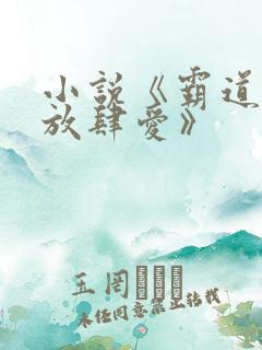 小说《霸道总裁放肆爱》