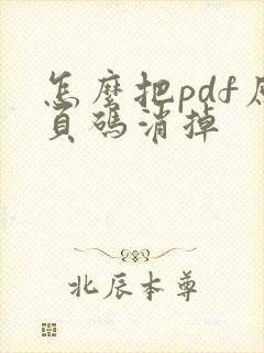 怎么把pdf原页码消掉